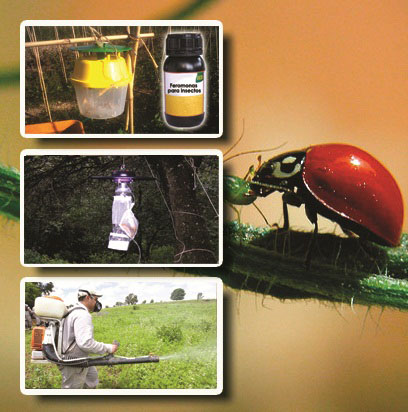 Método de control fitosanitario plagas en los cultivos 