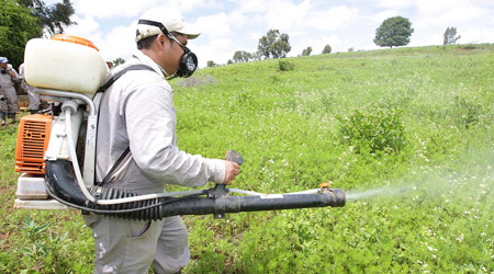Aplicación de Insecticida