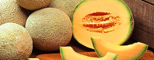 Fruto Melon