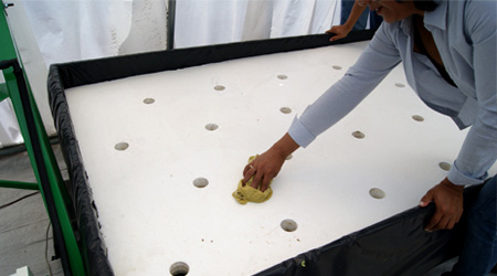Limpieza de Contenedor Raiz Flotante