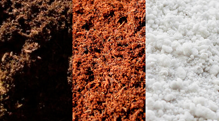 Peat moss + Fibra de coco + Perlita o Tepojal