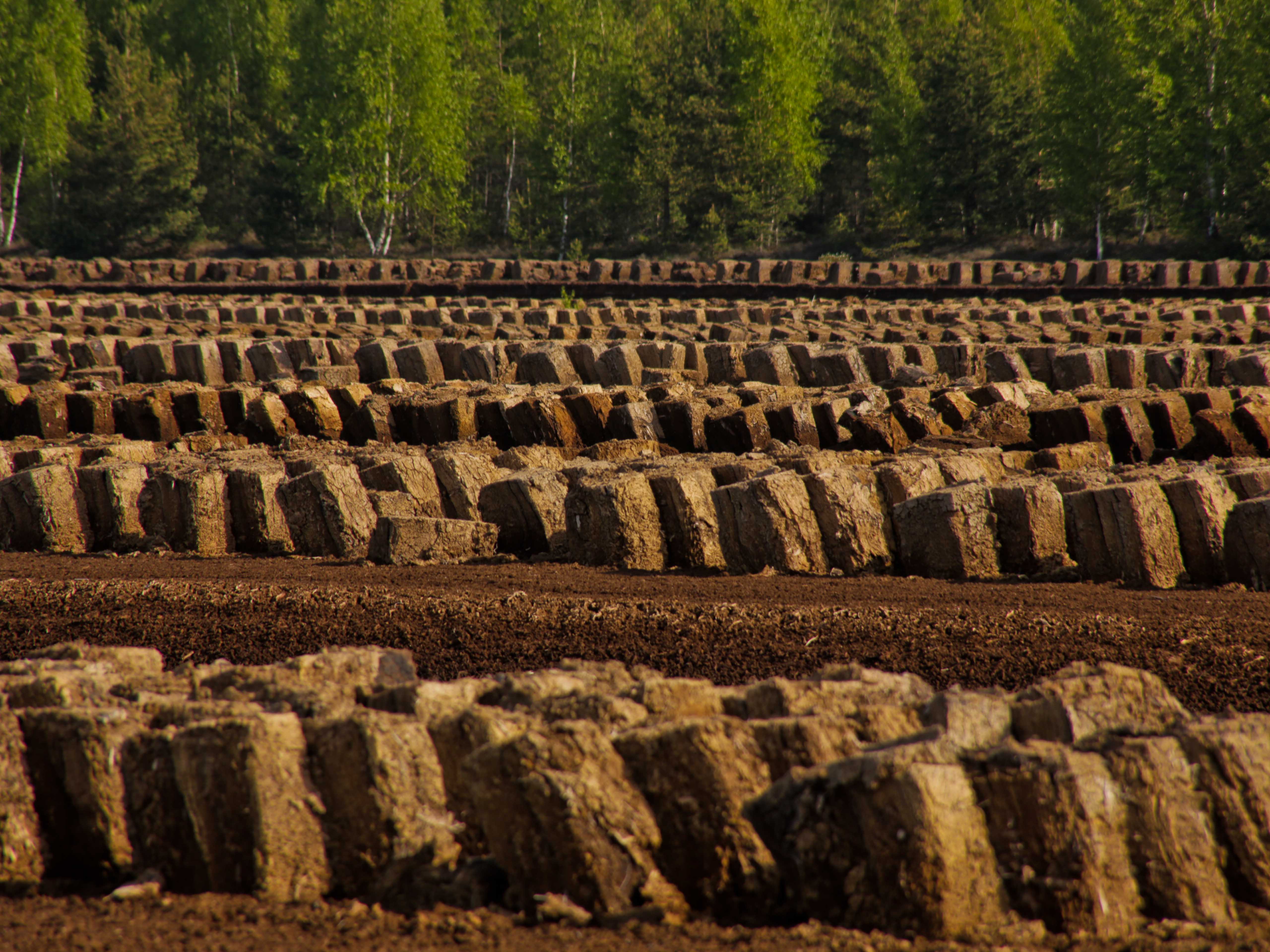 campo de peat moss