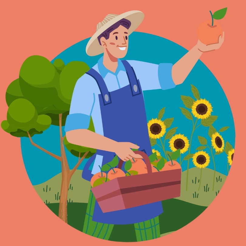 grafico guias para cultivar de todo
