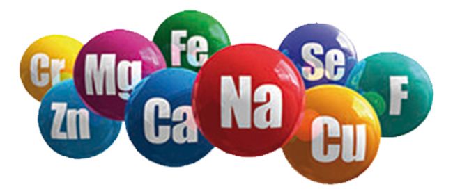Macro Nutriente