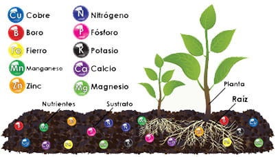 Nutrientes presentes en Sustrato