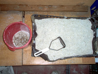 Perlita Limpia