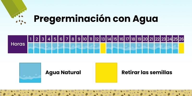 Pregerminado con agua FVH hydroenviroenment