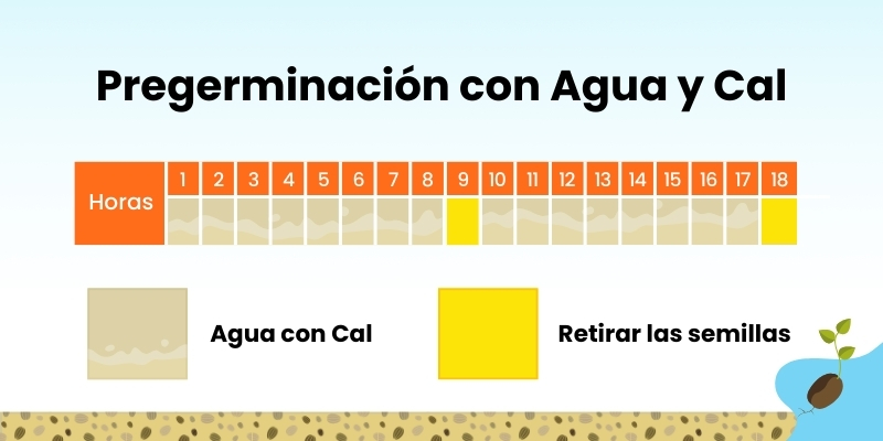 Pregerminado con agua y cal FVH hydroenvironment