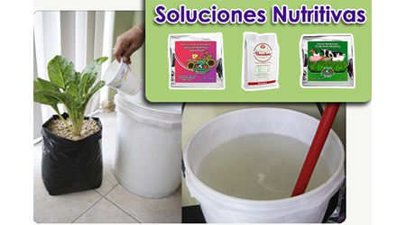 ¿Qué es la Solución Nutritiva? Tipos y cómo elaborarla