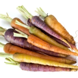 Sobre de Semilla de Zanahoria de Colores – Variedad Multicolor