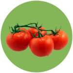 Semillas Híbridas y Mejoradas