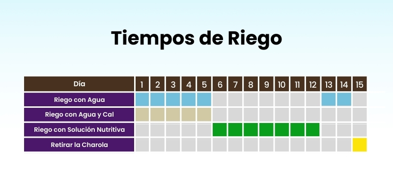 Tiempo de riego FVH hydroenvironment