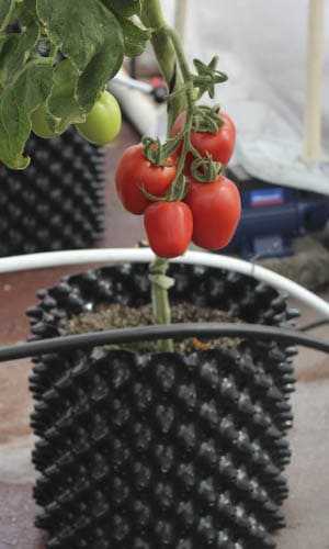 airgrower