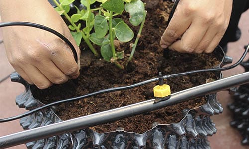 Air Growers – Macetas Hidropónicas de Poda de Aire y su uso