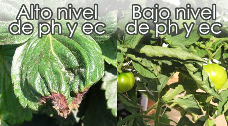 Alto y Bajo Nivel de pH y ec