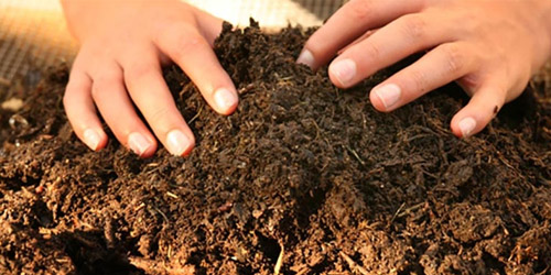 Mulch o acolchado