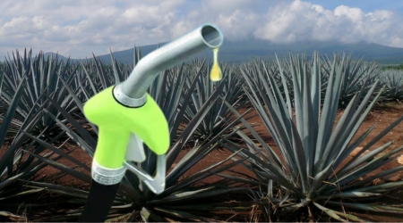 bioetanol de agave