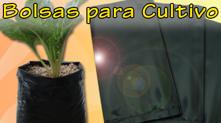 Bolsas para cultivo