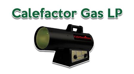 Calefactor Gas LP