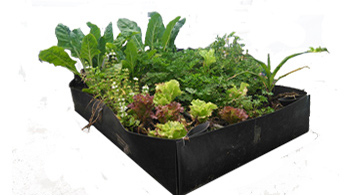 Cama de Cultivo para Huerto para huerta bancal contenedor para plantas medio de cultivo 
