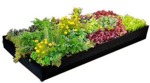 Cama de cultivo en canaleta de cultivo hidropónico 