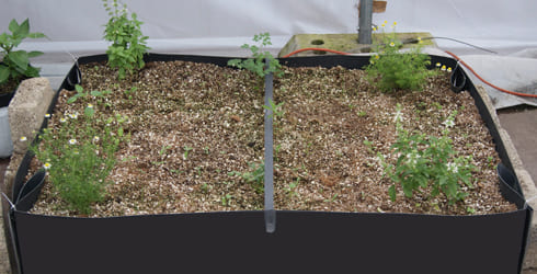 cama de cultivo materiales para hidroponia