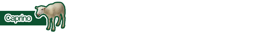 Caprino