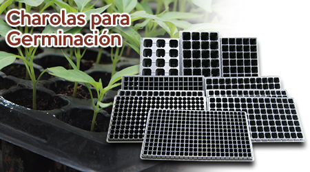 Guía Charolas