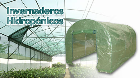 Invernadero verde hidropónico
