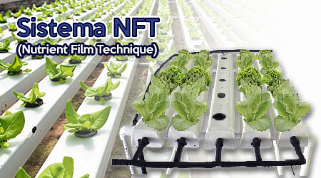 canastillas para sistemas de nft