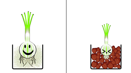 Diferencias entre sustratos pesados y ligeros
