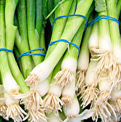 Cebollin