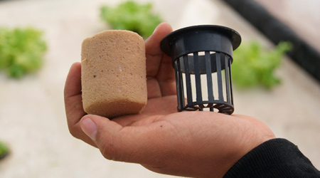cilindro de foami agrícola con vaso para hidroponia canasto