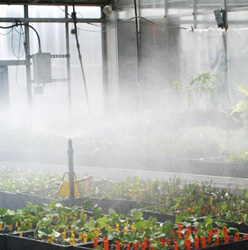 Cobertura Aspersion aplicación de Insecticidas por nebulización