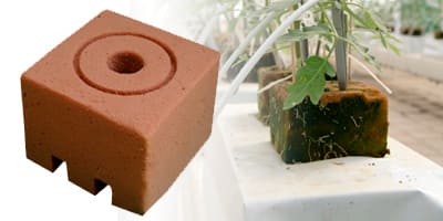 Cubo Foamy