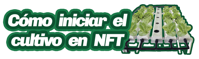 Guía: Cómo iniciar el cultivo en NFT