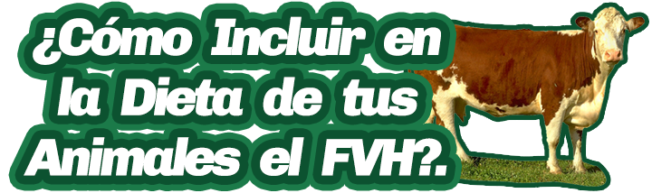 Dieta de Animales FVH