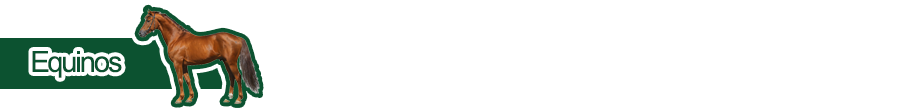 Equinos