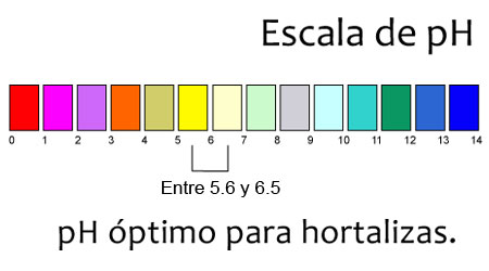 Guía: La importancia de monitorear y regular el pH