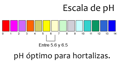 Escala pH Hortalizas