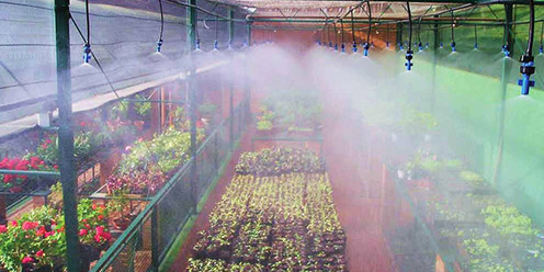 Guía: ¿Cómo preparar fungicidas y bactericidas para mi cultivo?