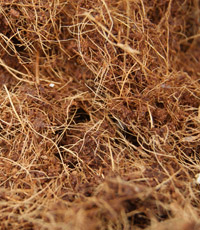 Fibra de Coco