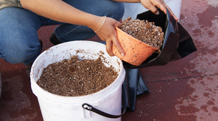 Preparación de sustrato para siembra