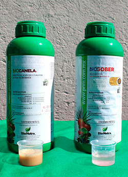 Plaguicida BioCanela y BioGober para aplicar insecticida a las plantas