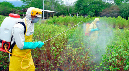 Encendido seguro de la fumigadora a 2 tiempos