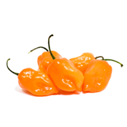 chile habanero
