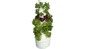 Guía para el armado del Horti-Tower