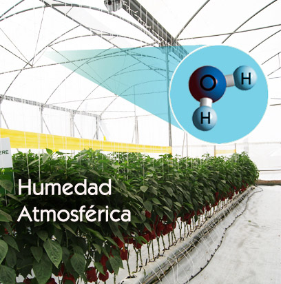 Humedad Atmosférica