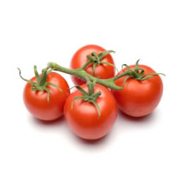 Jitomate Bola
