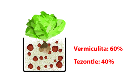 Lechuga Mezcla Perlita Tezontle